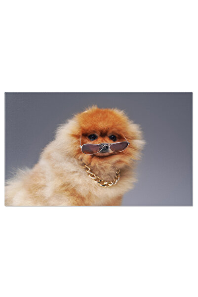 StoryGift Romania Tablou Canvas - Pomeranian Jucaus In Ochelari De Soare Si Lant De Aur