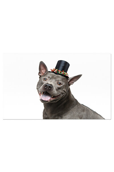 StoryGift Romania Tablou Canvas - Bulldog Englez: Puiut Albastru Cu Ochelari ...