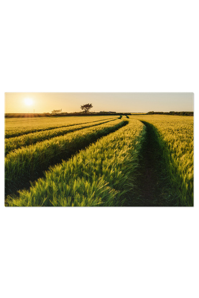 StoryGift Romania Tablou Canvas: Peisaj Rural In Devon, Anglia - Agricultura,...