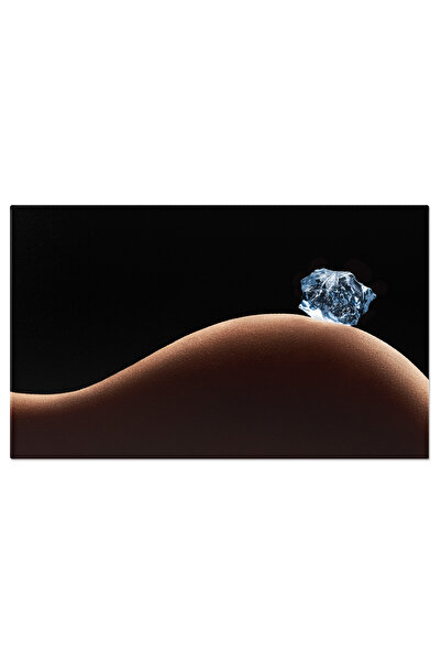 StoryGift Romania Tablou Canvas - Cuburi De Gheata: Arta Culinara Cu Elemente De Gheata