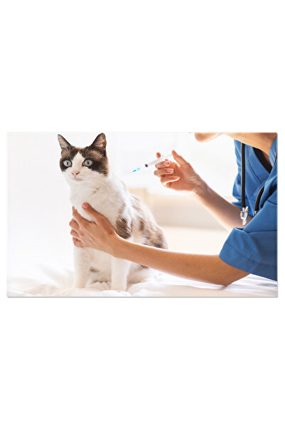 StoryGift Romania Tablou Canvas - Ingrijire Medicala Pentru Pisici: Vaccinare...