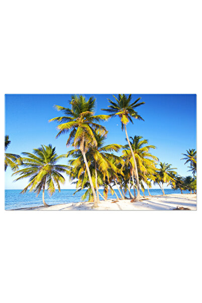 StoryGift Romania Tablou Canvas Plaja Cu Palmieri Plaja, Ocean, Nisip, Tropic...