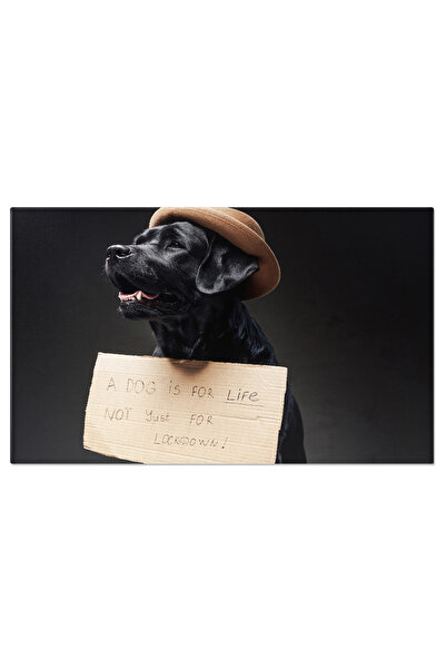 StoryGift Romania Tablou Canvas Retriever Afectionat - Iubire Si Loialitate Intr-o Imagine Adorabila