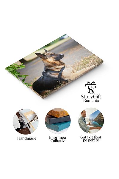 StoryGift Romania Tablou Canvas Ciobanel German Pedigree, Canin Eleganta In Aer Liber