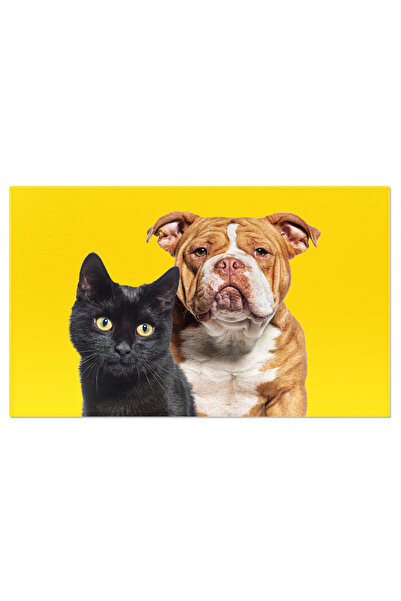 StoryGift Romania Tablou Canvas Cu Pisica Si Caine Impreuna - Amicitie, Duo, ...
