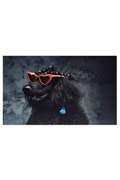 StoryGift Romania Tablou Canvas: Poodle Elegant In Stil Fashion, Fundal Intun...