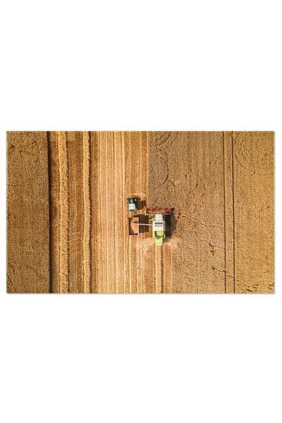 StoryGift Romania Tablou Canvas: Recoltare Agricola - Combine, Recolta, Agricultura