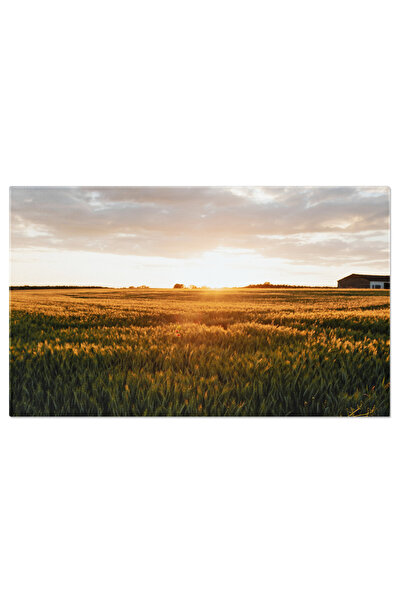 StoryGift Romania Tablou Canvas - Peisaj Natural In Padure La Rasarit