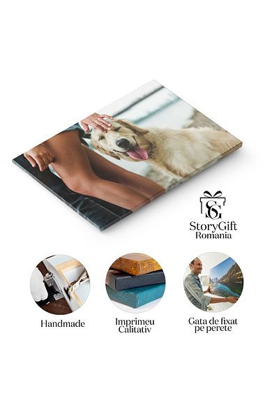 StoryGift Romania Tablou Canvas 90 X 60cm Mangaierea Unui Caine Frumos Apropiere, Frumusete, Natura, ,stg