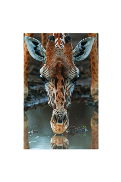 StoryGift Romania Tablou Canvas: Girafa Cu Genele Lungi Care Bea Apa Din Rau ...