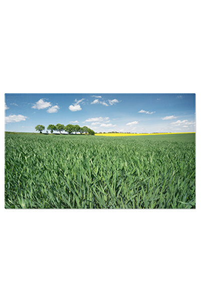 StoryGift Romania Tablou Canvas Camp Si Cer Agricultura, Peisaj, Rural, Prima...