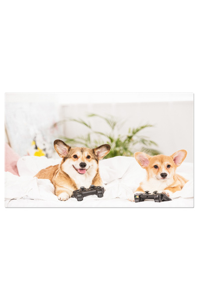 StoryGift Romania Tablou Canvas Corgi Welsh Amuzant Caini Stand In Pat Cu Pla...