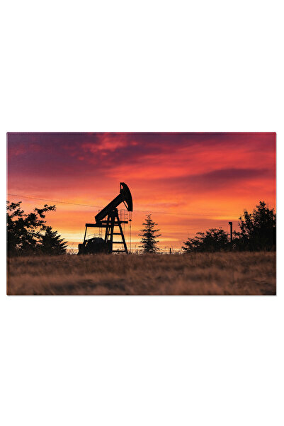 StoryGift Romania Tablou Canvas: Soarele La Refacere - Energia Naturala