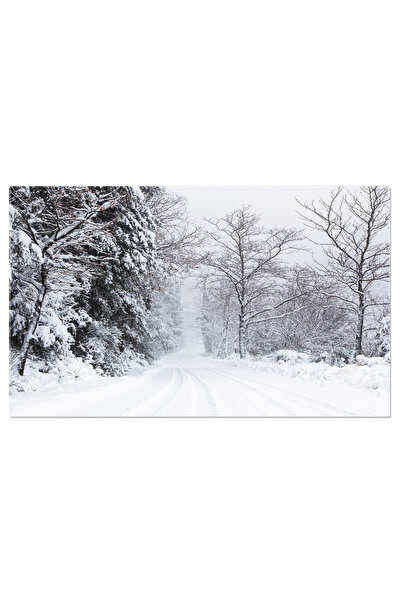 StoryGift Romania Tablou Canvas Peisaj De Iarna: Iarna, Peisaj, Zapada. 4147