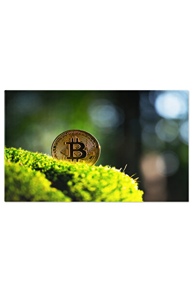 StoryGift Romania Tablou Canvas: Moneda Digitala In Natura - Bitcoin, Eco, Si...