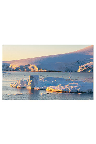 StoryGift Romania Tablou Canvas Peisaj Antarctic Antartica, Coasta, Gheata, O...