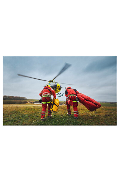 StoryGift Romania Tablou Canvas Doi Paramedici Cu Harnasament De Siguranta Al...