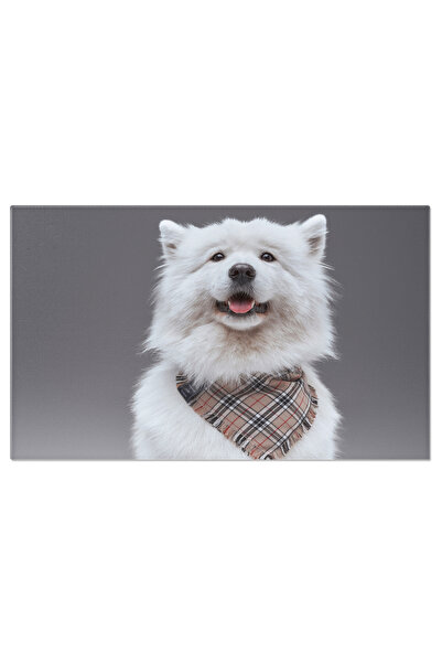 StoryGift Romania Tablou Canvas - Veverita Jucausa In Detaliu