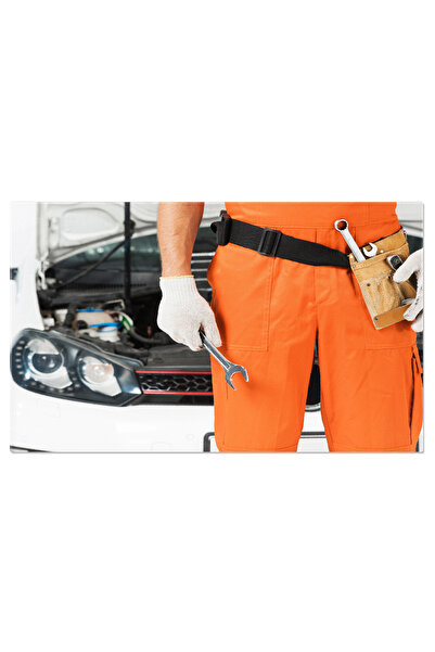 StoryGift Romania Tablou Canvas - Expertiza Tehnica Auto: Uneltiri Si Mecanic...