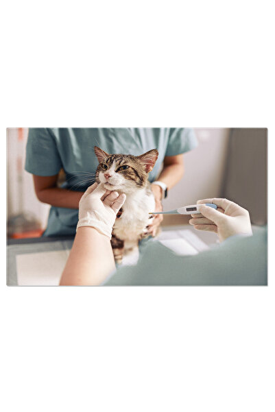 StoryGift Romania Tablou Canvas: Ingrijire Veterinara Si Binele Animalelor - ...