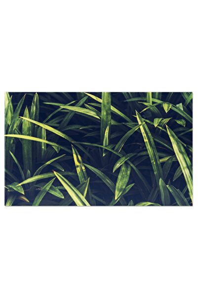 StoryGift Romania Tablou Canvas - Gradina Verda, Frumusetea Naturii Si A Soar...