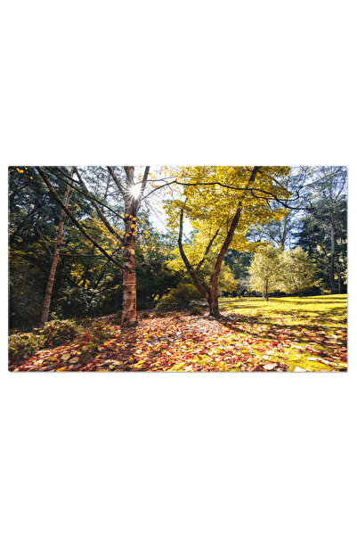StoryGift Romania Tablou Canvas View Gradinile Memorial Alfred Nicholas In Au...