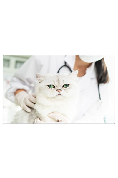 StoryGift Romania Tablou Canvas: Clinica Veterinara, Verificare Pisica, Sanat...