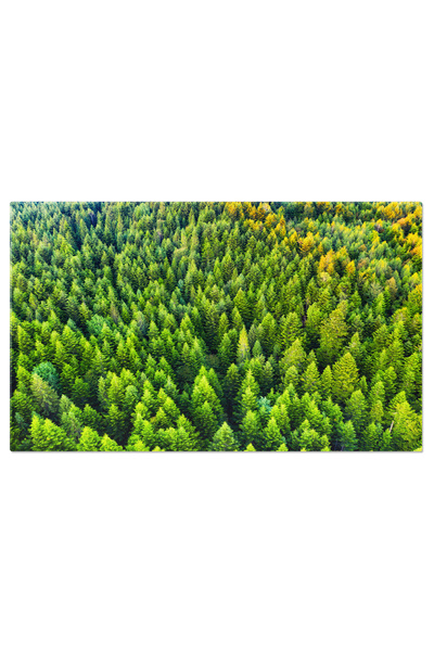 StoryGift Romania Tablou Canvas Pagoda De Flori, Parc Cu Flori, Templu, Refle...