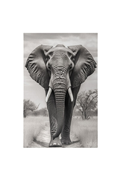 StoryGift Romania Tablou Canvas: Elefant In Natura - Jungla Salbaticie B&w Pi...