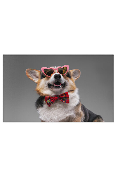 StoryGift Romania Tablou Canvas: Corgi Elegant - Stil Si Eleganta Canina