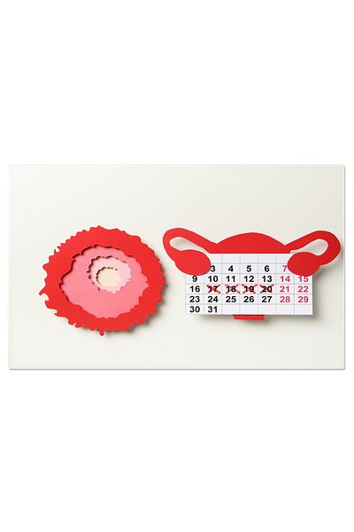 StoryGift Romania Tablou Canvas - Magia Maternitatii: Procreare, Pilule: Femeie, Orologiu, Fertilitate