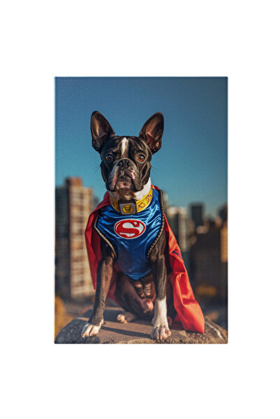 StoryGift Romania Tablou Canvas Atenție Se Filmează Boston Terrierul Transformat În Superman Pe O Stâncă Lângă Or