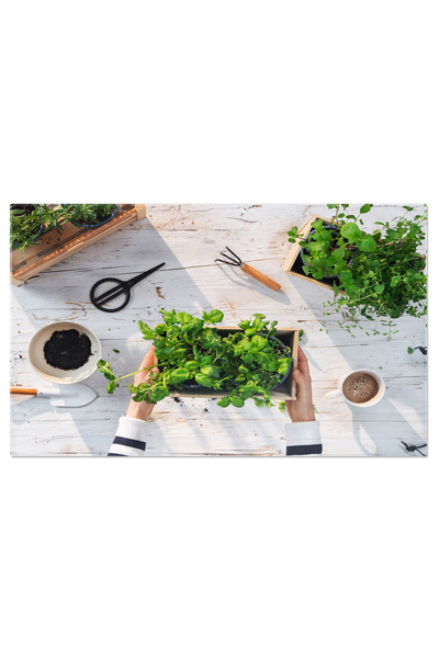 StoryGift Romania Tablou Canvas Productie Sanatoasa In Gradina Proprie