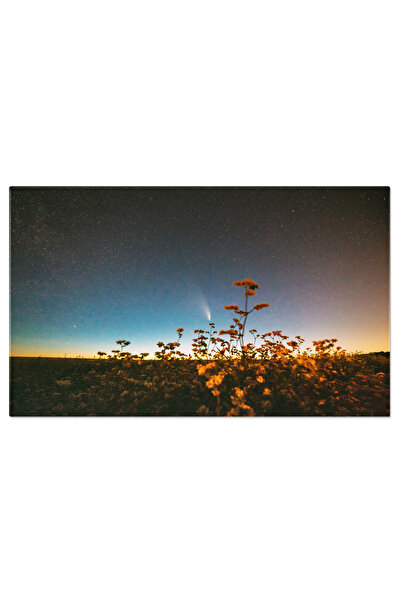 StoryGift Romania Tablou Canvas Comet Neowise In Cerul Instelat De Noapte Cometa, Noapte, Cer, Neowise, Peisaj No