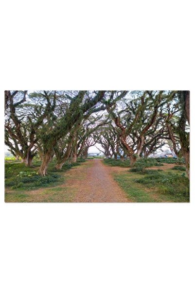 StoryGift Romania Tablou Canvas Textura Aeriana In Indonezia, Vale, Deal, Mun...