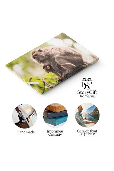 StoryGift Romania Tablou Canvas Maimute Jucause In Padurea Tropicala Din Bali Jucaus, Maimute, Padure Tropicala,