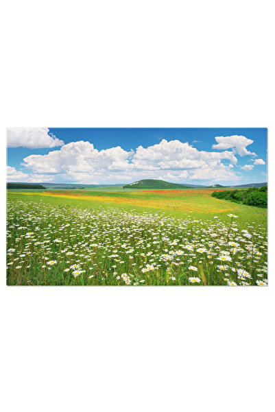 StoryGift Romania Tablou Canvas Flori De Musetel Intr-o Pajiste Verde In Timp...