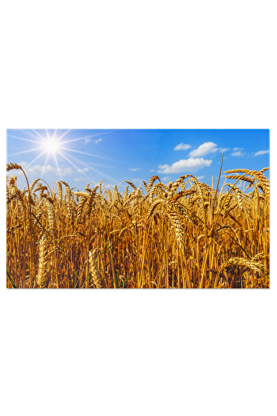 StoryGift Romania Tablou Canvas: Aurora Din Camp - Camp, Recolta, Peisaj Montan