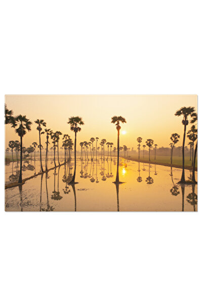 StoryGift Romania Tablou Canvas Agricultura Eco Rijea Verde Si Baloturi, Bale, Rijea, Agricultura Eco, Verde, Bal