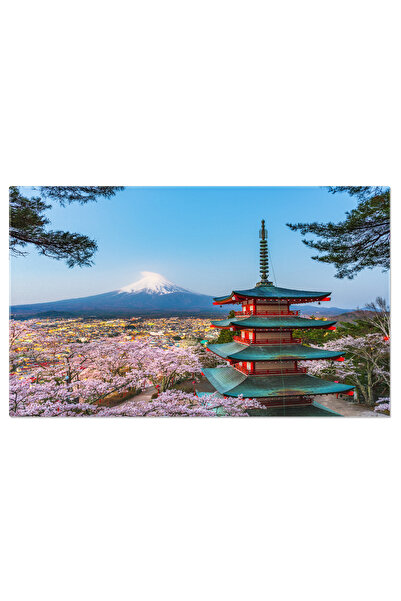 StoryGift Romania Tablou Canvas: Privelisti Uimitoare - Ciresii Infloriti, Ja...