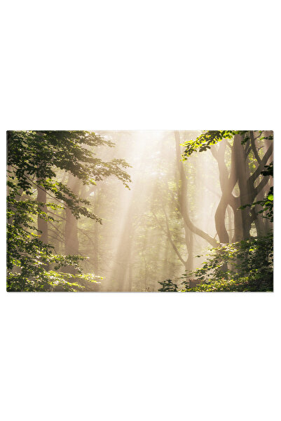 StoryGift Romania Tablou Canvas Cu Peisaj Matinal In Padure - Razele De Soare...