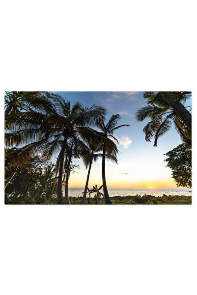 StoryGift Romania Tablou Canvas Palmieri Exotici La Malul Marii In Caraibe Fu...