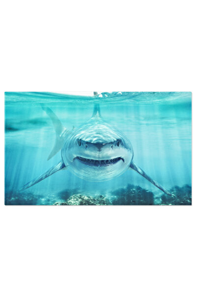 StoryGift Romania Tablou Canvas Mare Alb, Peisaj Marin, Rechin, Ocean 2229