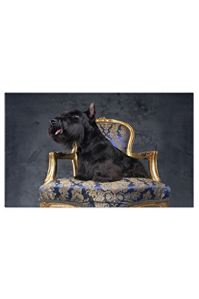 StoryGift Romania Tablou Canvas: Terrierul Scotian Intr-un Fotoliu Luxos, Ele...