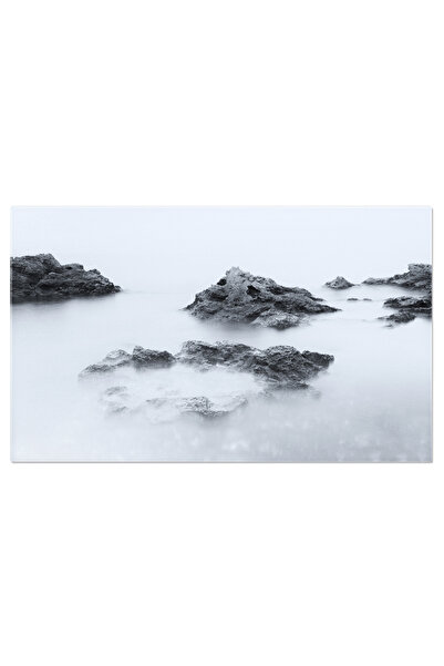 StoryGift Romania Tablou Canvas Peisaj Monocrom La Mare, Orizont, Rasarit, Pe...