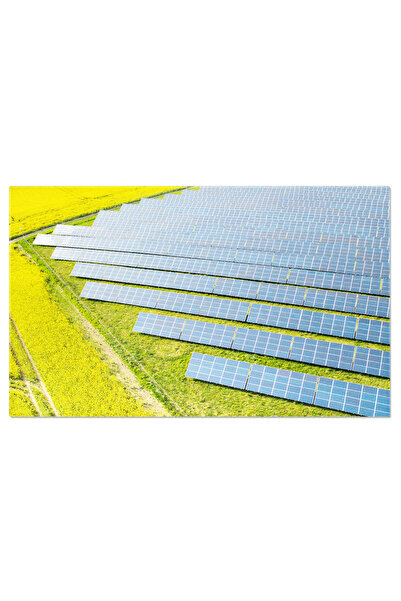 StoryGift Romania Tablou Canvas Panou Solar Pentru Generarea Curentului Electric Continuu, Sursa De Energie Verde