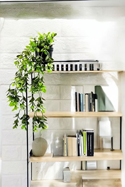 Akkoyunlu home Saksıda Yapay Sarmaşık Çiçek(32 cm)