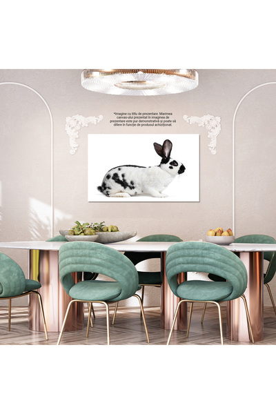 StoryGift Romania Tablou Canvas: Intelepciune In Ochi - Portret De Iepure