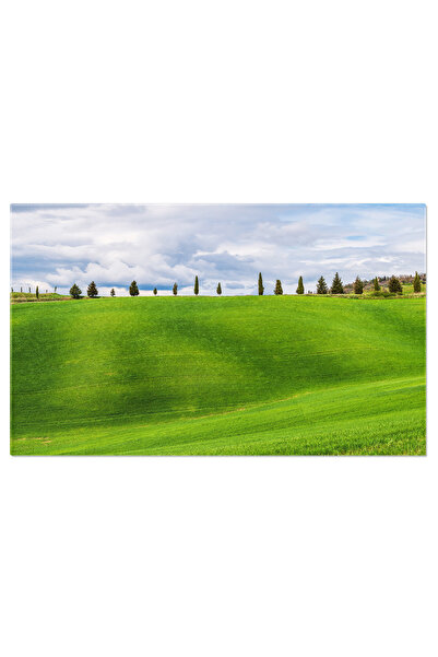 StoryGift Romania Tablou Canvas Toscana: Farmecul Rural Al Italiei