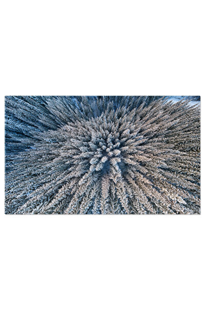 StoryGift Romania Tablou Canvas Peisaj, Iarna, Zapada, Pini, Natura, Aerial 161